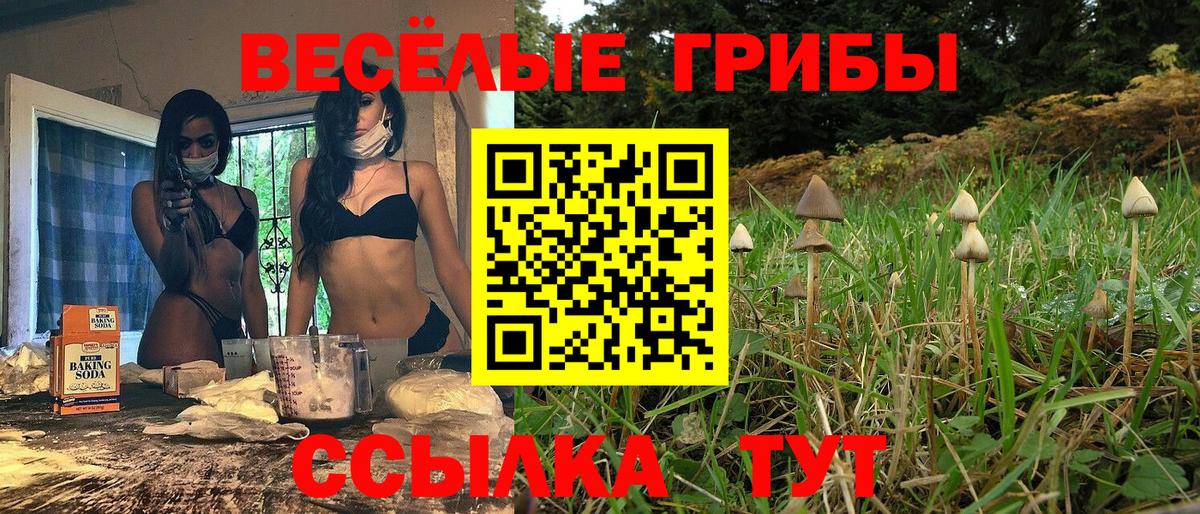 Октябрьский  Галлюциногенные грибы MAGIC MUSHROOMS  Вход с VPN 